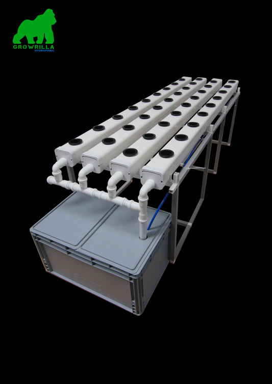 NFT vatnsræktunar kerfi fyrir 36 plöntur